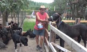 Şehir hayatından bunaldı huzuru doğada buldu