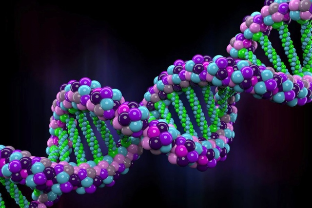 Boy uzunluğunda genetik faktör ve hormonlar