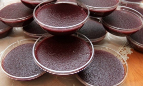 Rize'nin vazgeçilmez tatlısı 'Pepeçura'