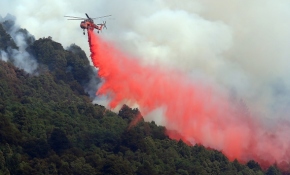 Orman yangınları ABD'yi büyük zarara uğrattı