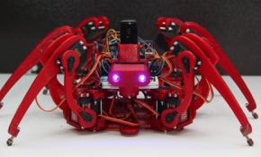 Engelleri kolayca aşan 'Örümcek Robot'