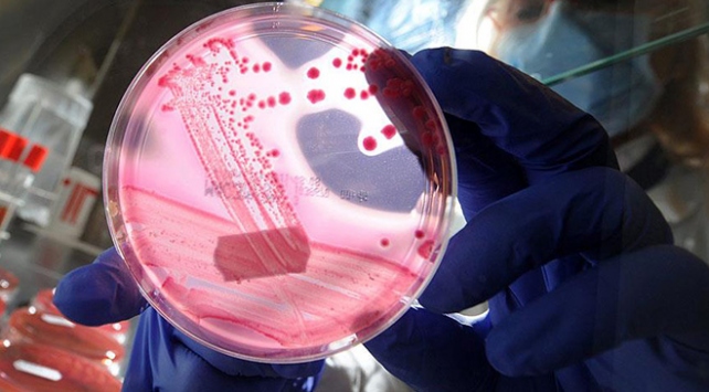 Bilim insanlarından çığır açacak keşif