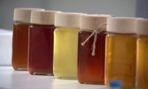 Kovanlardan gelen şifa kaynağı: Propolis