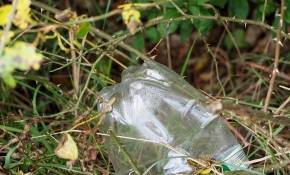 Dünyadaki ölümlerin %16'sı çevre kirliliği yüzünden oluyor