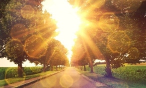 Uzmanlara göre D vitamini eksikliği sıradan bir vitamin eksikliği değil