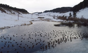 Yüzeyi buz tutan Ördek Gölü'nün manzarası havadan görüntülendi