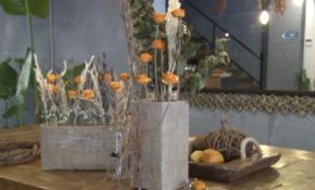 Bu çiçekler portakal kokuyor