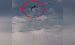 Yüksek gerilim hattında çalışan işçi yürekleri ağızlara getirdi