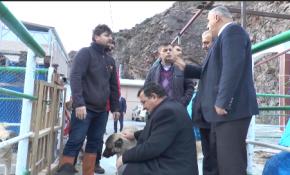 Artvin Belediyesi hem sokak hayvanlarına ve hem de yabani hayvanlara sahip çıktı.