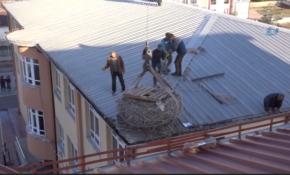 Leylek yuvası vinçle daha güvenli olan bir noktaya taşındı