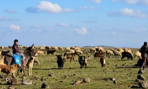 Göçerler "yayla yolunun" açılmasından mutlu