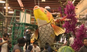 Kaliforniya'da yüzbinlerce kişi çiçek festivalinde buluştu