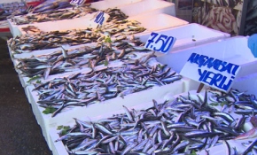 Hamsi hasreti sona erdi