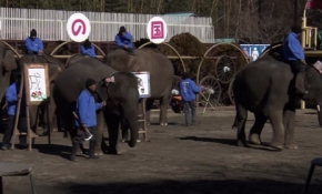 Fillerin marifeti görenleri şaşırtıyor