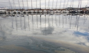 Urla'da denize mazot sızdı, limana giriş ve çıkışlar kapatıldı