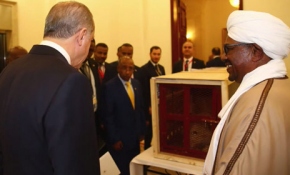 Cumhurbaşkanı Erdoğan'a hediye edilen aslanlar yeni yuvalarına geldi