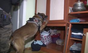 İçişleri Bakanı Süleyman Soylu: Operasyon sayısı yılın ilk 15 gününde yüzde 66 arttı