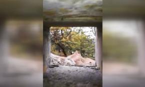 Mehmetçik PYD/YPG'nin tünellerini ele geçirildi