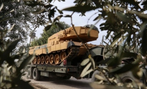 Zeytin Dalı Harekatı'na dünyadan destek