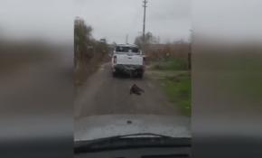 Köpeği kamyonetin arkasına bağlayıp metrelerce sürükledi