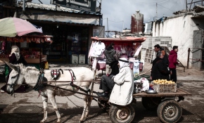 Gazze'deki insani koşullar felaket noktasında