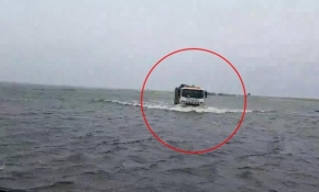 Avustralya'da sel sonrası ilginç görüntüler ortaya çıktı