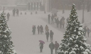 Moskova'da kar fırtınası: Ağaçlar devrildi, yollar kapandı, uçak seferleri iptal oldu