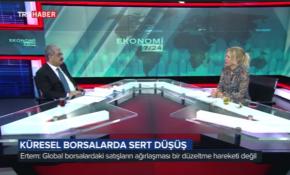 Cumhurbaşkanı Başdanışmanı Ertem: AB ülkeleri Türkiye'ye muhtaç