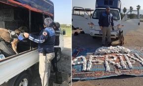 YPG/PKK'lı teröristlere gönderilen 250 bin cesaret hapı ele geçirildi