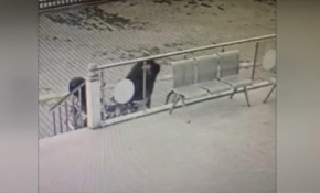 Kaymakamlık binası önünden bisiklet çaldı