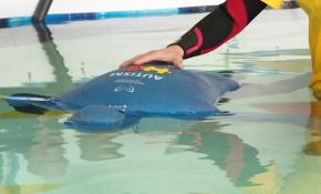 Otizme dikkat çekmek için 24 dakika suyun altında kaldı