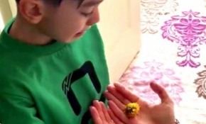 4,5 yaşındaki küçük çocuğun bitki sevgisi sosyal medyada ilgi odağı oldu