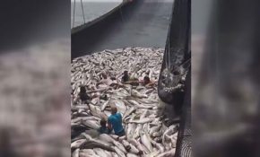 Türk balıkçıları Moritanya'da