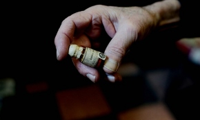 Hayat kurtaran zehirlerin evi: Yeni Moda Eczanesi