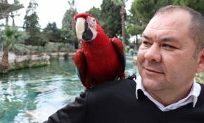 Papağan "Sultan" ile sahibinin ilginç dostluğu