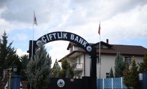 Uruguay'a kaçan Mehmet Aydın'ın yeni görüntüleri ortaya çıktı