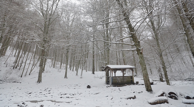 Istranca Ormanları beyaza büründü