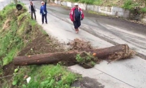 Saatlerce uğraştılar, 30 saniyede tüm emekleri heba oldu