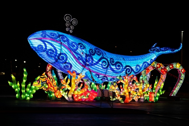 ABD’de “Çin” temalı ışık şovu renkli görüntüler oluşturdu