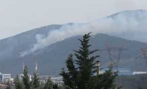 İstanbul Aydos Ormanı'nda yangın