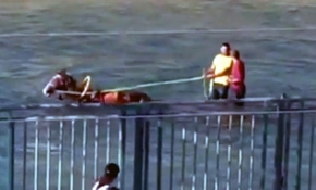 Su kanalında ilerleyen at arabası, sosyal medyada ilgi odağı oldu