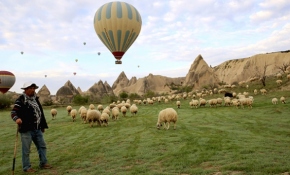 Afganistanlı Ali Tahghan, Kapadokya'da çobanlık yapıyor