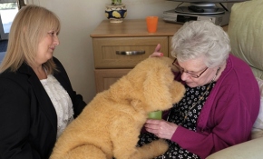 Robotik köpek "Bisküvi" bakımevindeki yaşlılara destek oluyor