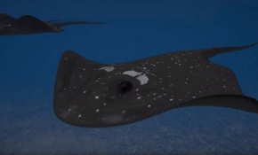 Silahlı İnsansız Deniz Aracı ‘Wattozz’ dünya basınında