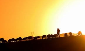 Göçerlerin asırlardır süren çileli yolculuğu