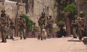 Bomba avcısı “Berber” Mehmetçik'le birlikte hayat kurtarıyor