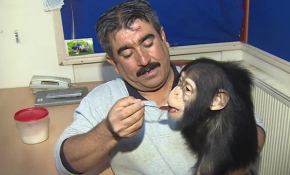 Gaziantep Hayvanat Bahçesi’nin maskotu ‘Can’ özenle yetiştiriliyor