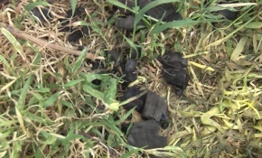 Sivas'ta hamamdan düşen taşları göktaşı sanıp polisi aradılar