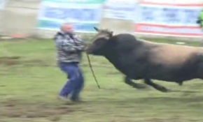 Öfkeli boğa rakibinin sahibine saldırdı