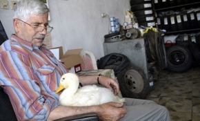 Ördeğiyle dostluğu görenleri şaşırtıyor